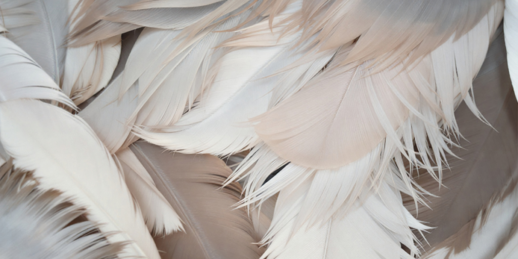 comunicare con gli angeli